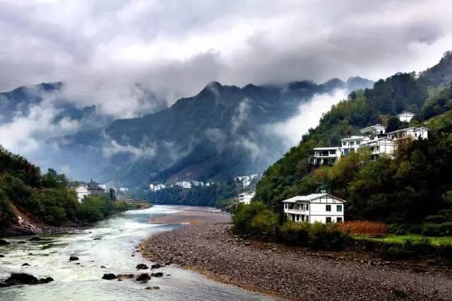 省政协委员杨涛:开展慢病科普规划教育,助力慢病防控关口前移