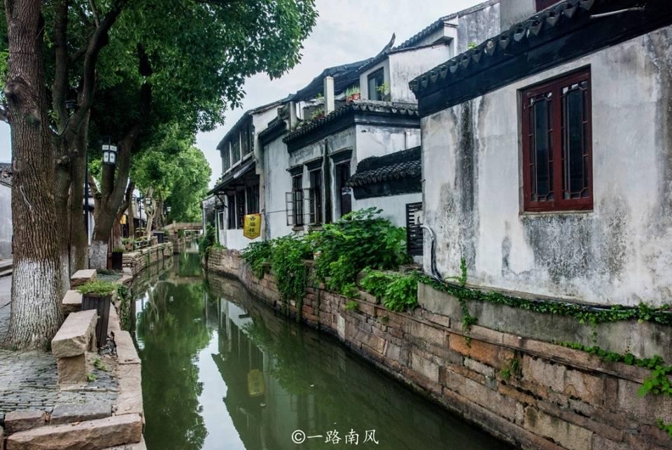 肾移植患者术后突发脓毒血症命悬一线，重症医学科全力施救续写生命之光